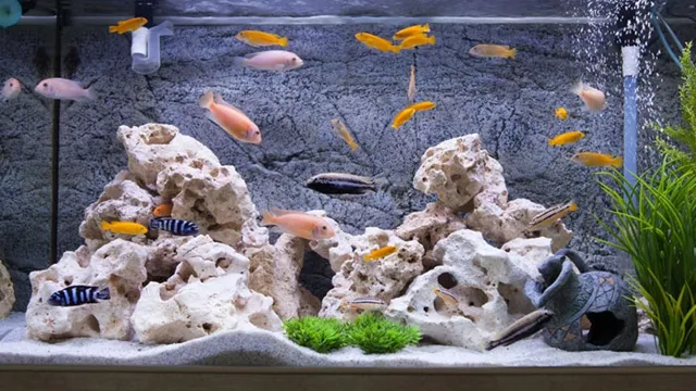 how to make aquarium sculptures