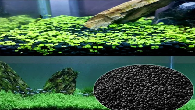 how to make aquarium soil at home in hindi