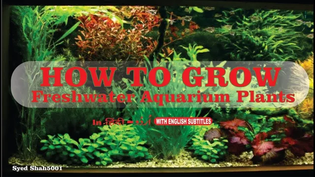 How to Make Aquarium Soil at Home in Hindi – A Beginner’s Guide