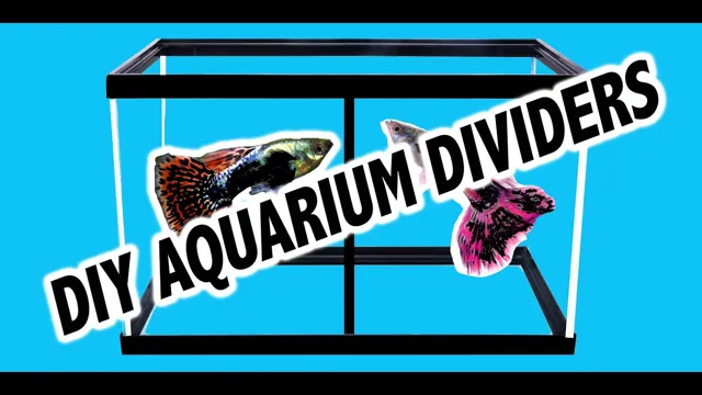 how to make aquarium tank divider