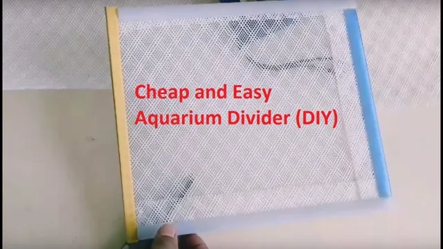 How to Make an Aquarium Tank Divider: A Step-by-Step Guide