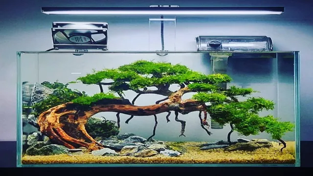 how to make aquarium tree at home