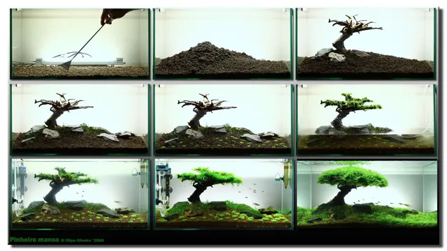 how to make aquarium trees