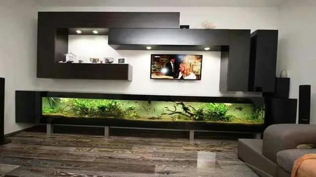 How to Make an Aquarium TV Stand: Step-by-Step Guide for Beginners