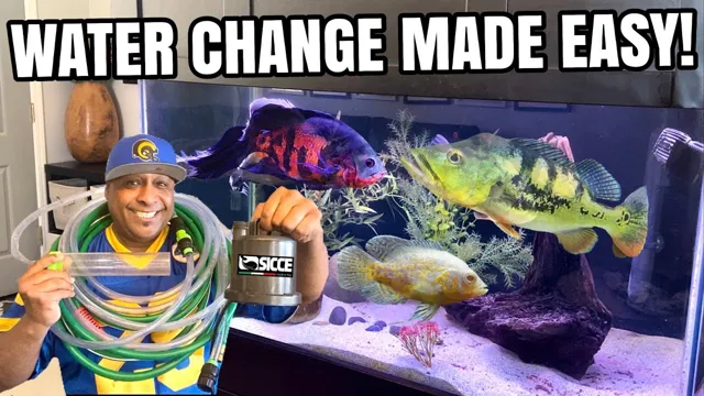 How to Make Aquarium Water Changes Easier: Simple Tips and Tricks