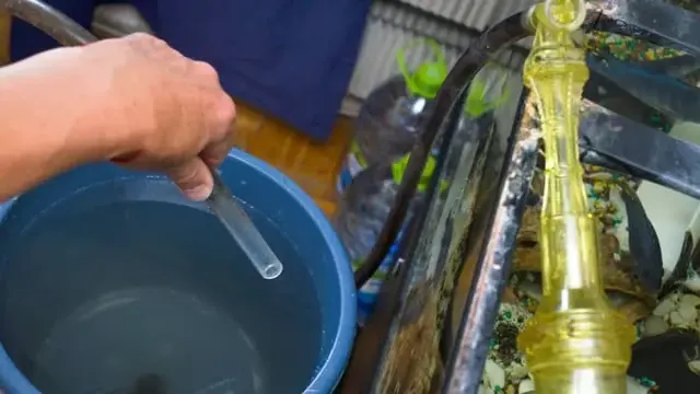 how to make aquarium water clear after a water change