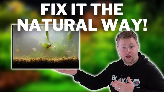 how to make aquarium water cloudy