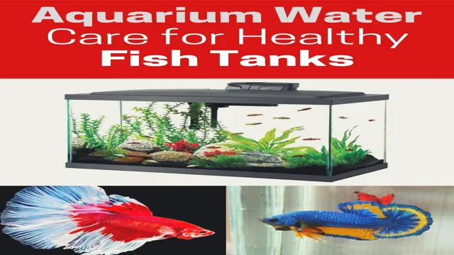 How to Make Aquarium Water Safe for Tropical Fish: Tips and Tricks