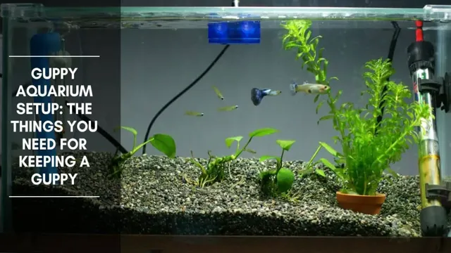 How to Make Aquarium Water Warmer: Top 5 Ways to Keep Your Fish Comfortable