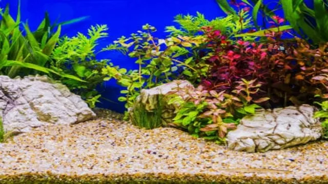 how to make aquascape aquarium