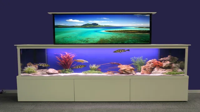 How to Make an Artificial Aquarium at Home: A Step-by-Step Guide