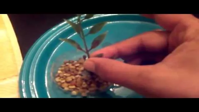 how to make artificial aquarium plants