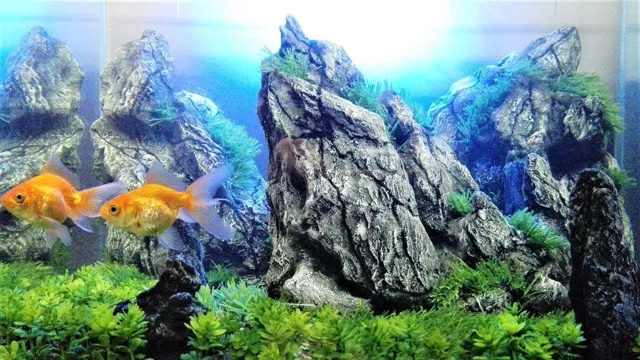 How to Make Artificial Aquarium Rocks: A Step-by-Step Guide for Stunning Aquarium Décor