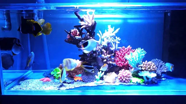 how to make artificial coral for aquarium