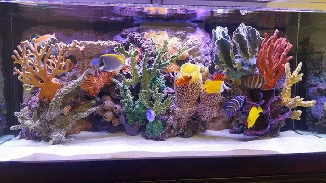 how to make artificial reef for aquarium