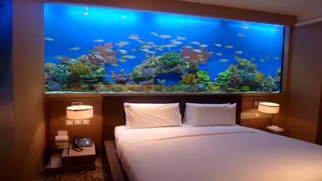 How to Make a Big Aquarium at Home: Tips for Creating the Ultimate Underwater Oasis