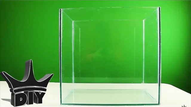 How to Make a Big Glass Aquarium: A Step-by-Step Guide to Creating Your Dream Fish Tank