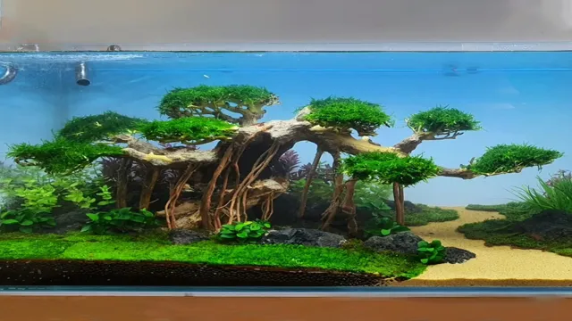 how to make bonsai driftwood for aquarium
