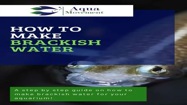 how to make brackish water aquarium