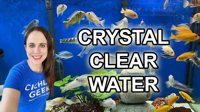 how to make clear water in aquarium