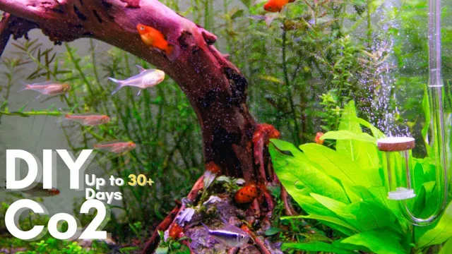 how to make co2 aquarium system