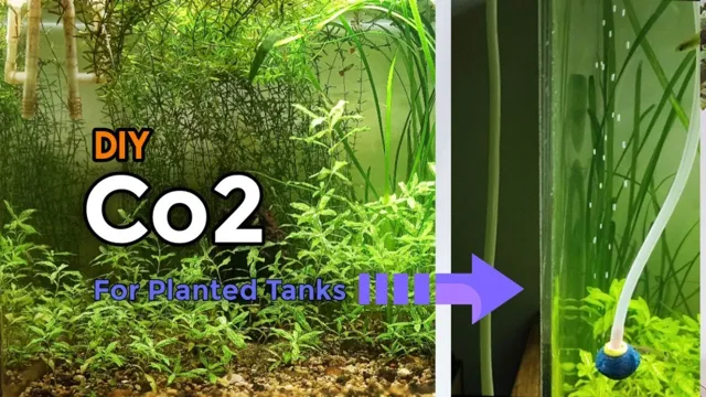 how to make co2 at home for aquarium