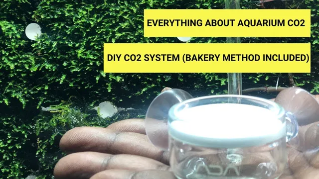 How to Make CO2 at Home for Aquarium: A Step-by-Step Guide