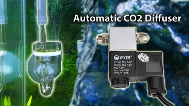 How to Make CO2 Diffuser for Aquarium – A Step-by-Step Guide