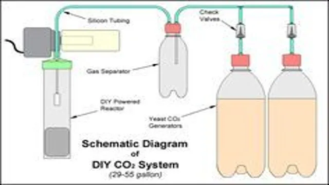 How to Make CO2 for Aquarium Plants King of DIY: A Step-by-Step Guide