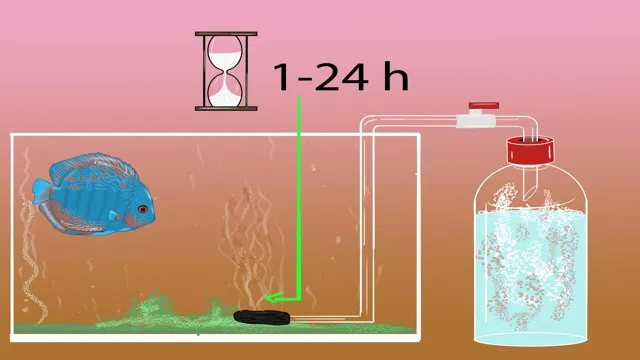 How to Make CO2 for Plants Aquarium: The Ultimate Guide for Healthy Aquatic Flora