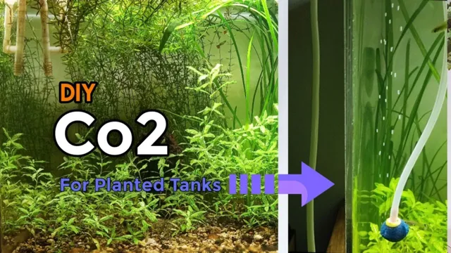 How to Make CO2 Gas at Home for Aquarium: A Comprehensive Guide