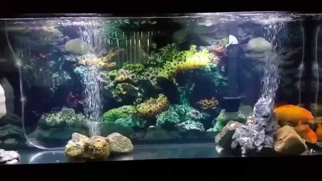 how to make crystal clear aquarium water