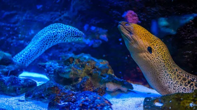 how to make diy aquarium substrate
