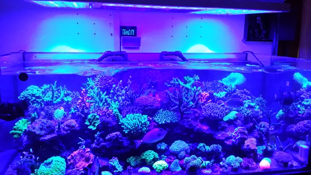 How to Make DIY LED Lights for Aquarium: A Step-by-Step Guide to Enhance Your Aquatic Experience