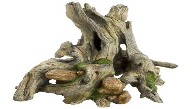 How to Make Driftwood Aquarium Safe: Tips and Tricks for Healthy Fish Tank