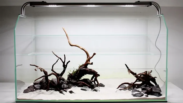 how to make driftwood for aquarium at home