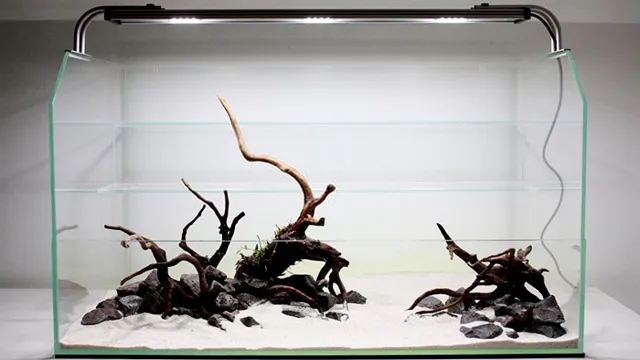 How to Make Driftwood for Aquariums: A Step-by-Step Guide