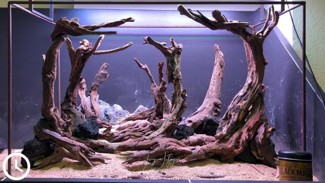 how to make driftwood out of dried wood for aquarium