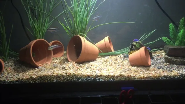 How to Make Fake Plants Aquarium Ready: Easy Steps and Tips