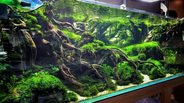 How to Make Fake Tree Roots for Aquarium: A Step-by-Step Guide