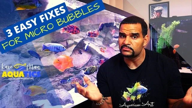 How to Make Fine Bubbles in Aquarium: A Step-by-Step Guide for…