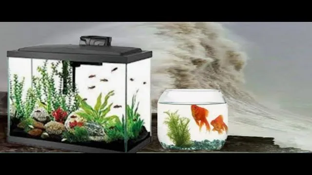 how to make fish aquarium at home in hindi