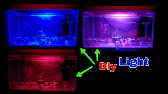 How to Make a Fish Aquarium Light: Tips and Tricks for Bright and Beautiful Fish Tanks