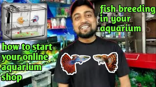 How to Make Fish Breed in Aquarium: Tips and Strategies for Successful Breeding