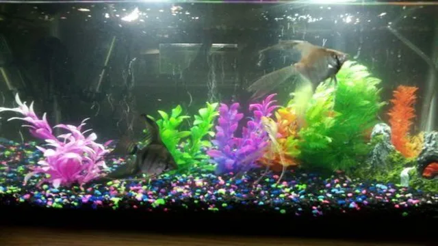 how to make fish happy in aquarium