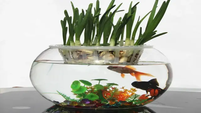 How to Make Garlic for Fish Aquarium: A Step-by-Step Guide for Healthy Fish