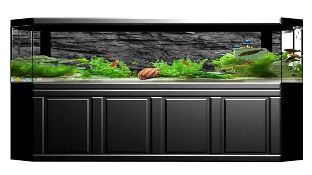 how to make glass background black aquarium