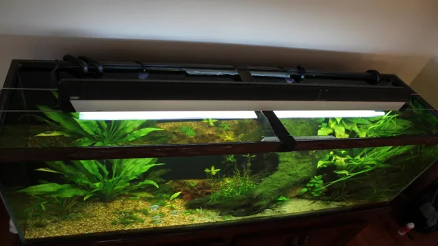 How to Make Glass Canopy for Aquarium: Tips and Techniques