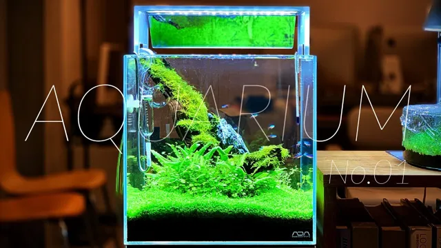 how to make glass cube aquarium