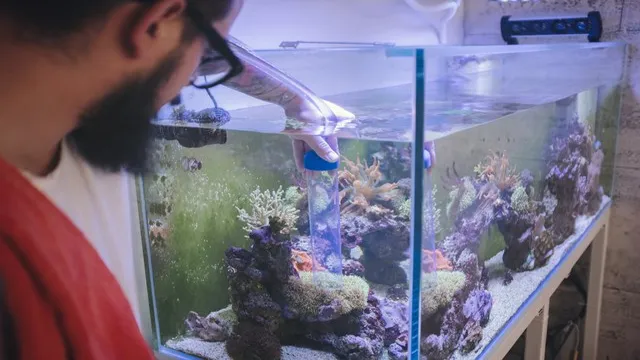 how to make good bacteria in aquarium